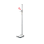 Picture of SECA 274 - Digital Mobile Stadiometer